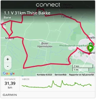 1.1.V 31 KM Thise Bakker