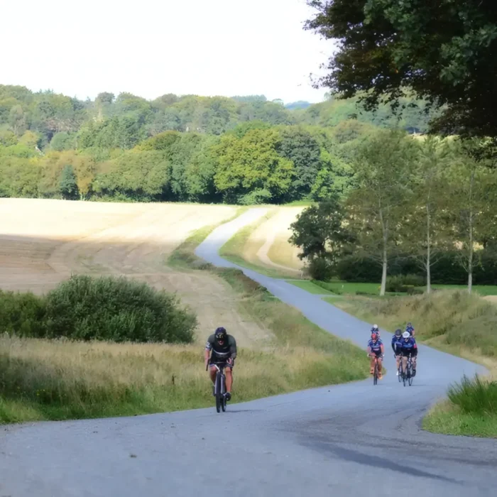 markedslobet2024-104