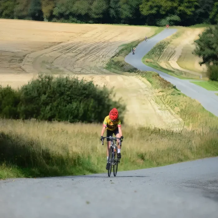 markedslobet2024-112