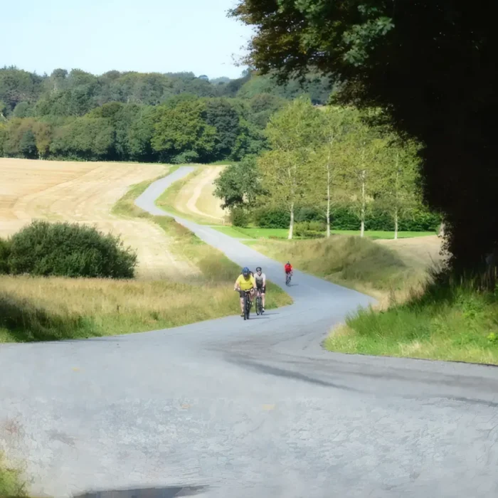 markedslobet2024-117