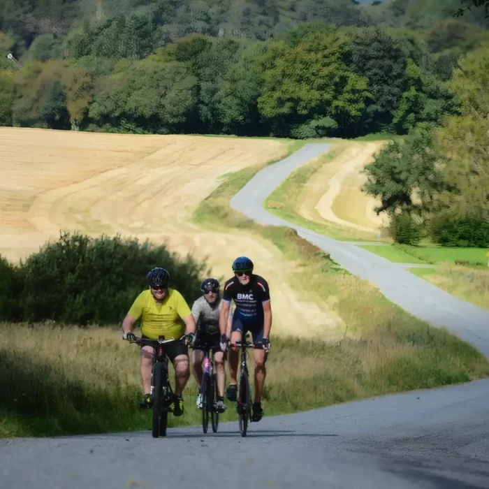 markedslobet2024-118