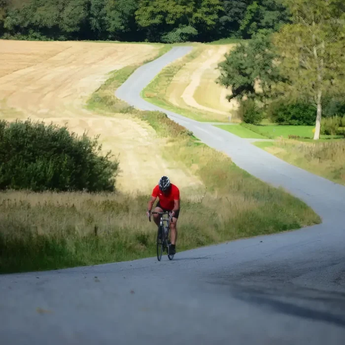 markedslobet2024-122