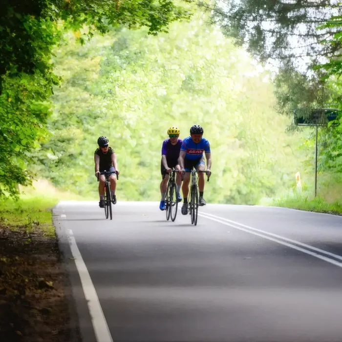 markedslobet2024-135