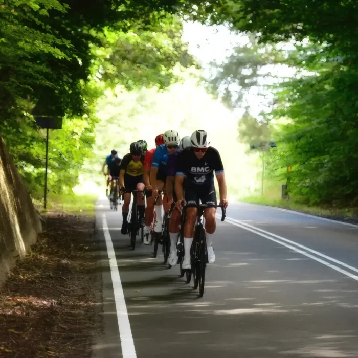 markedslobet2024-144