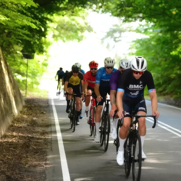 markedslobet2024-145