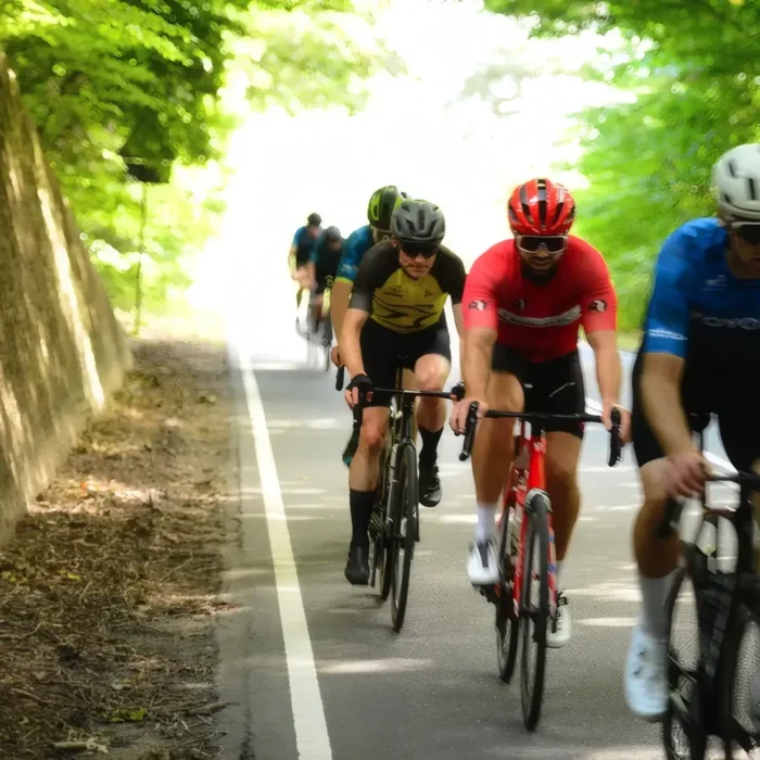 markedslobet2024-146