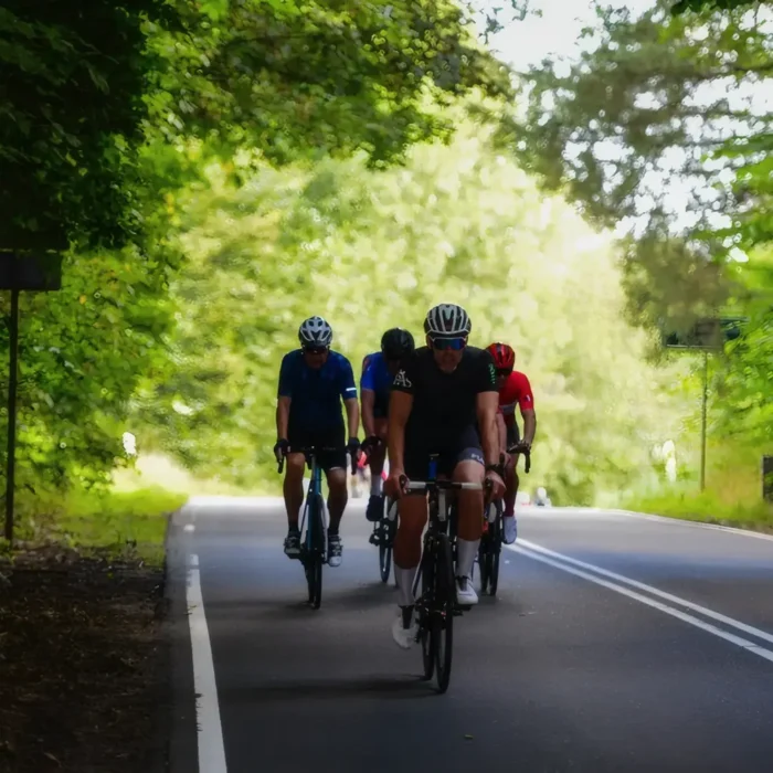 markedslobet2024-151