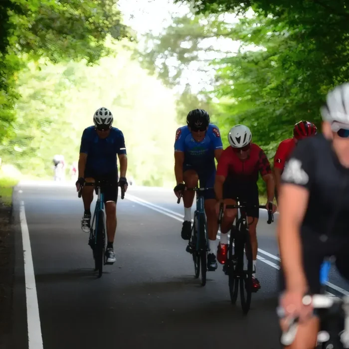 markedslobet2024-152