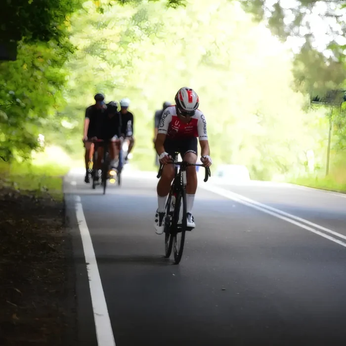 markedslobet2024-154