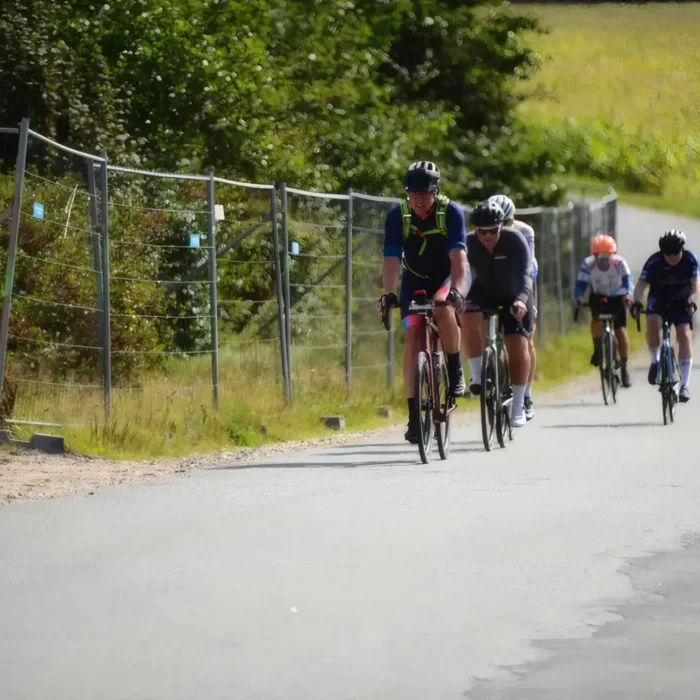 markedslobet2024-186