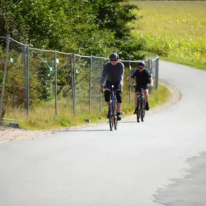 markedslobet2024-216