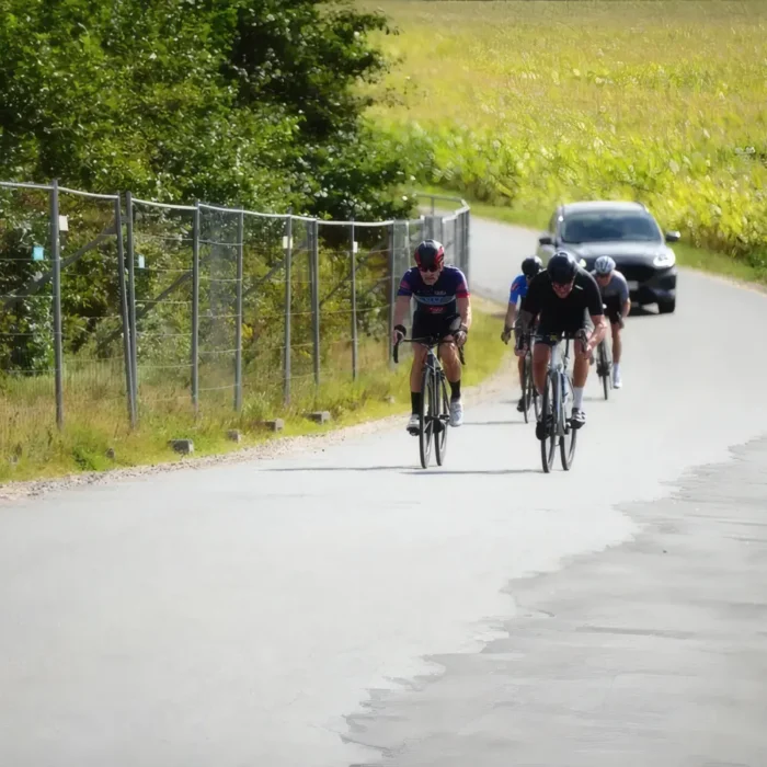 markedslobet2024-218