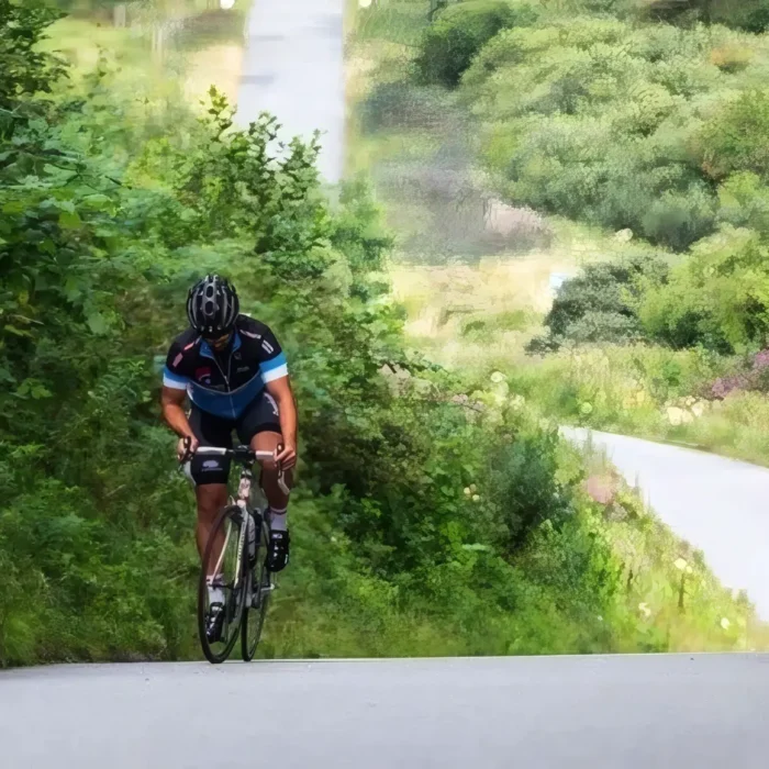 markedslobet2024-225