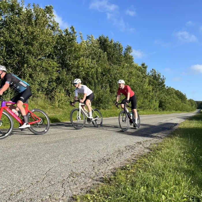 137e6130-ed16-4d21-81ef-64feb5f2f71b