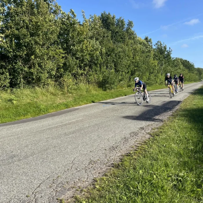 2ea2fb6a-8111-4b24-a47e-d8bdcadc6447