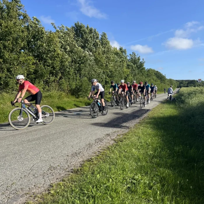 8c3d5b3d-61fb-4838-90ce-5b340873ff2b