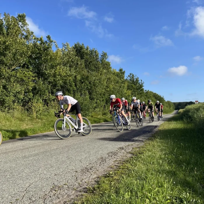 9790e82f-0292-4af7-a058-028ccfef3080