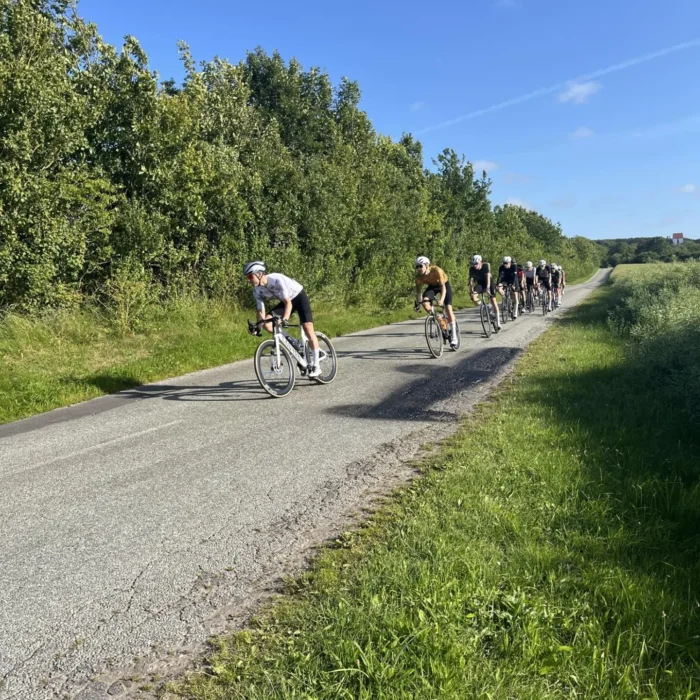 aaf39d59-b109-4e21-bcf0-98d8504b6715