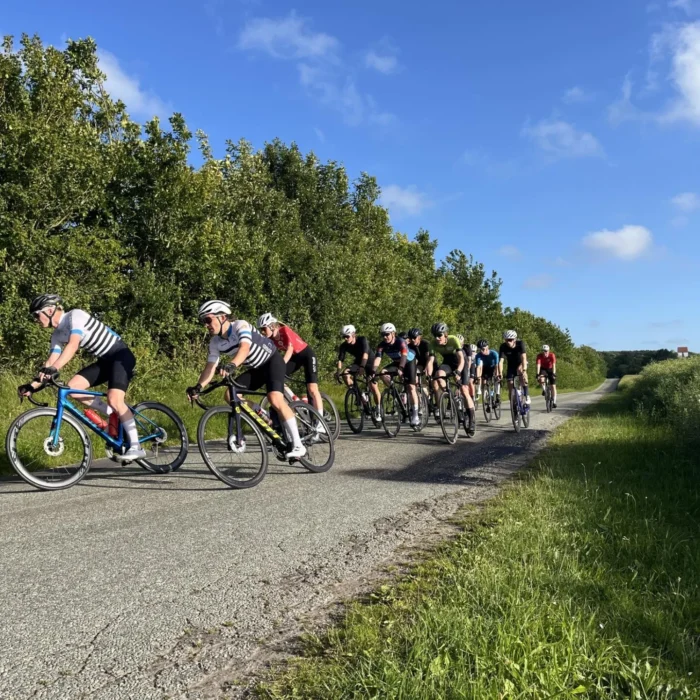 ce68b1b4-305b-4e84-b925-a38084d89059